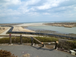 赤井江周辺の仮堤防(H24.3.27)